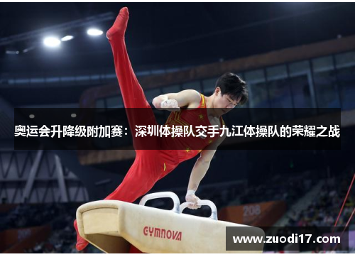 奥运会升降级附加赛：深圳体操队交手九江体操队的荣耀之战